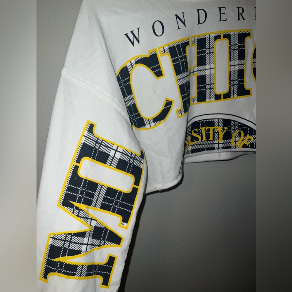 Michigan University Cropped Sweater